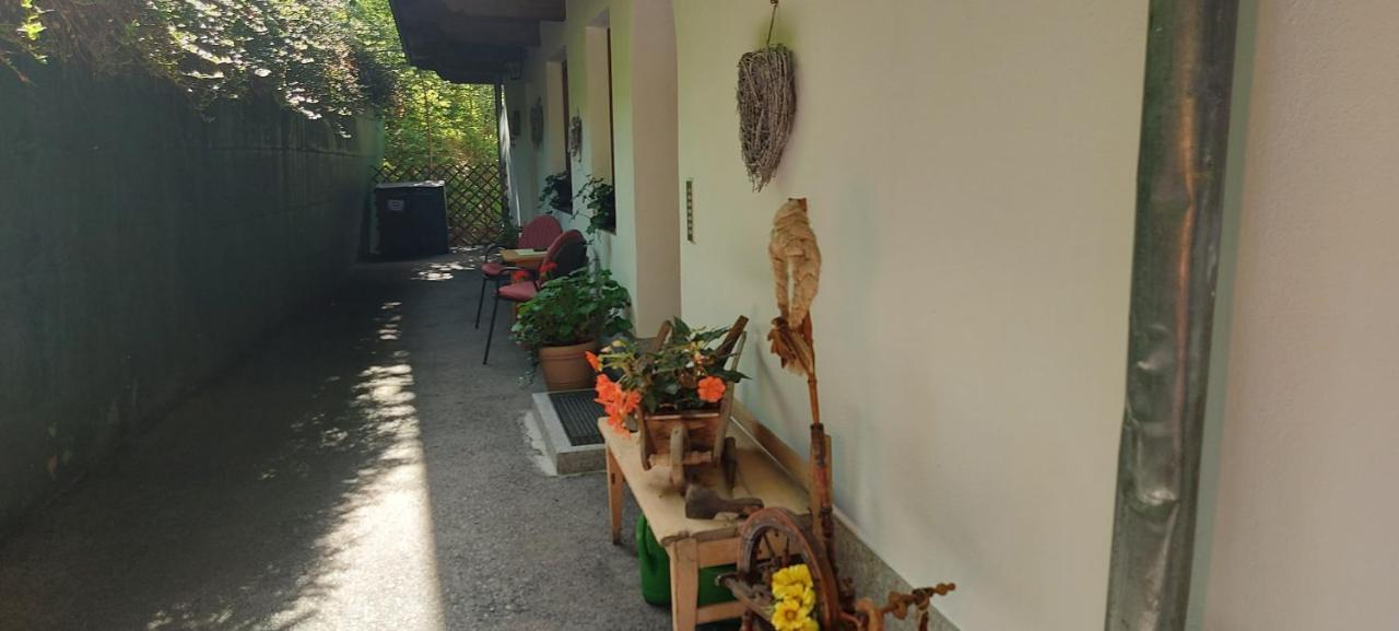 Appartements Zellner Alpbach Exteriör bild